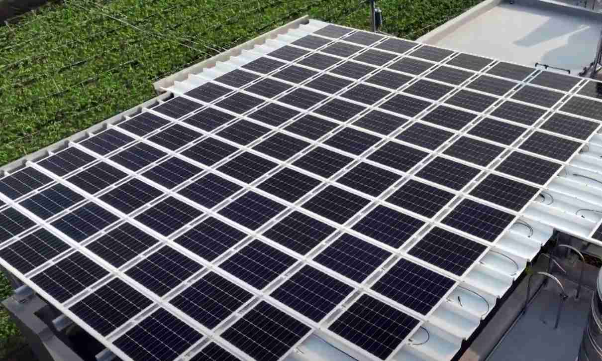 尊龙集团SunSteel光电浪板升级双玻结构，，，，以提升机械负载强度及气候耐候度，，，，可广泛运用于多元场域